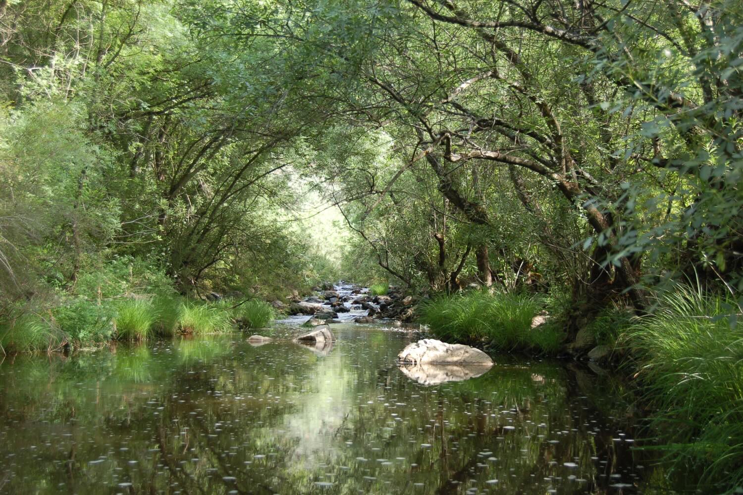 Río