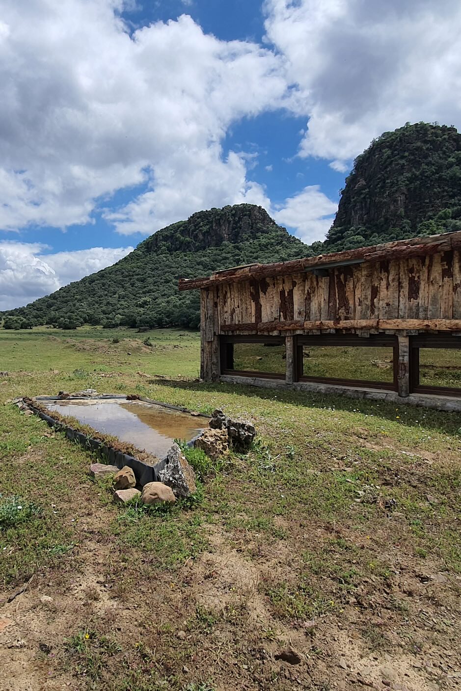 Andalucía BirdLand Hide