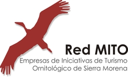 Red Mito Logo